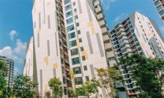 剪、弯曲...一、汽油行业概述汽油做为现代交通