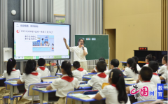 日的风擦过校园的喷鼻樟