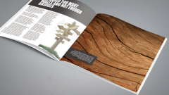 值此2019年临之际